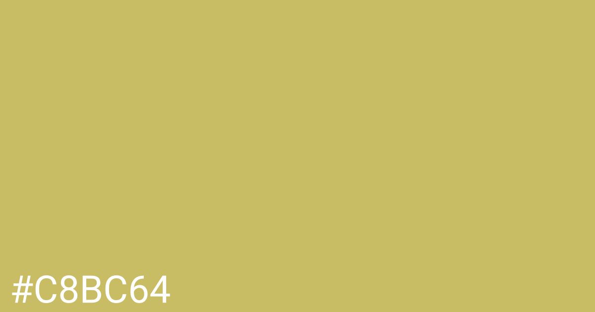 Hex color #c8bc64 graphic