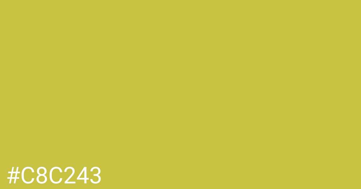 Hex color #c8c243 graphic