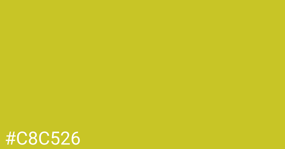Hex color #c8c526 graphic