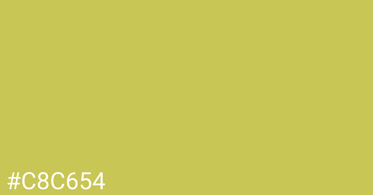 Hex color #c8c654 graphic