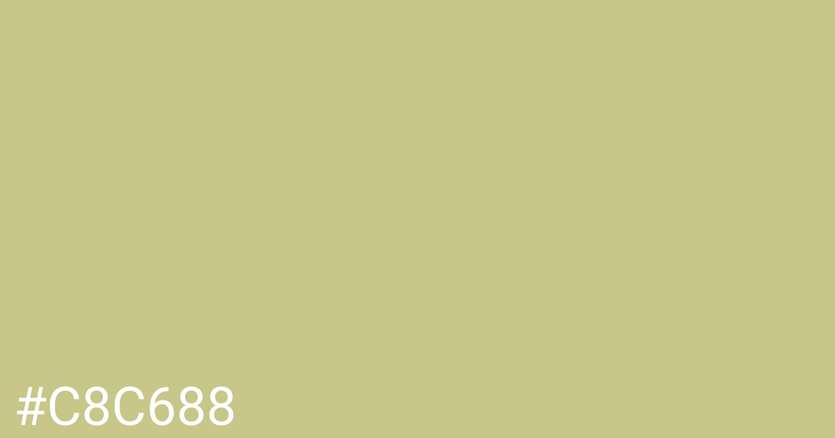 Hex color #c8c688 graphic