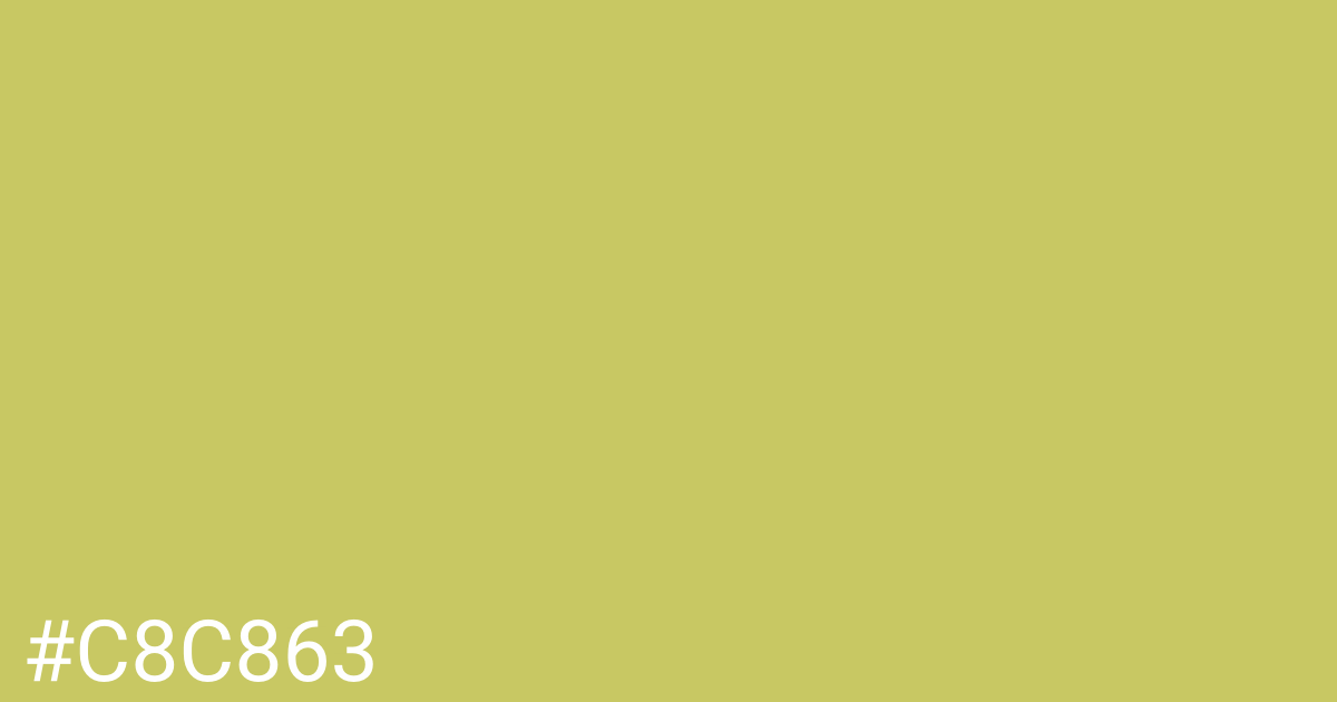 Hex color #c8c863 graphic