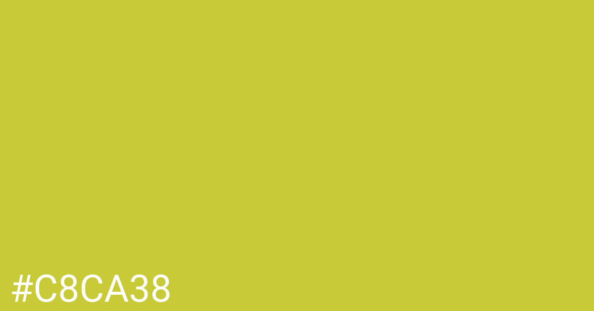 Hex color #c8ca38 graphic