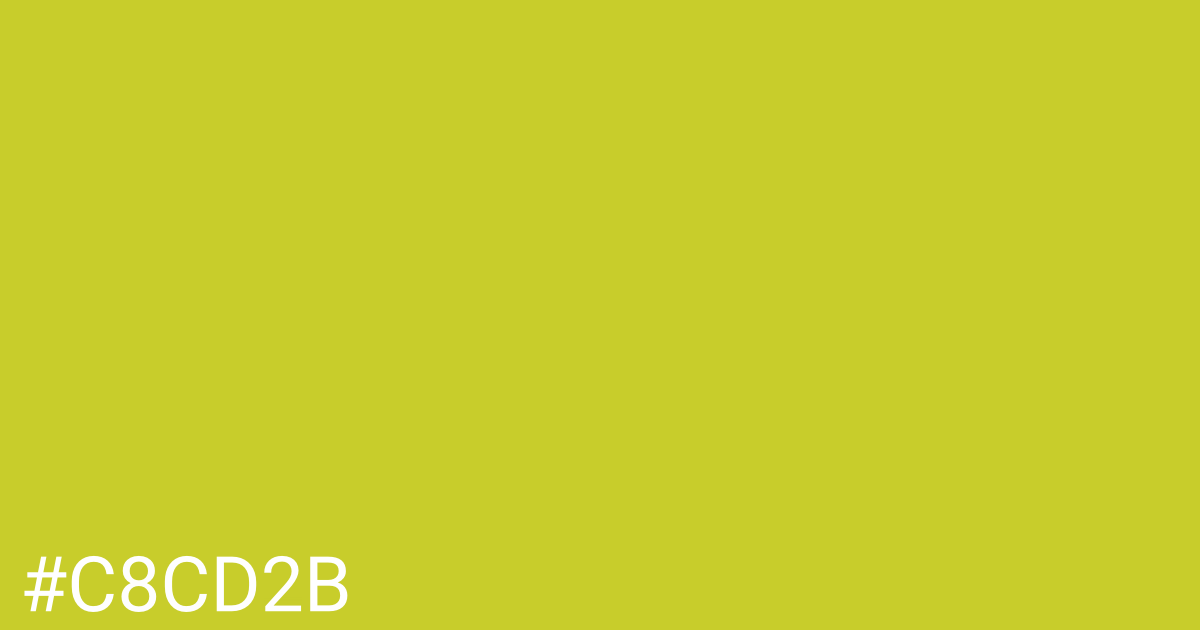 Hex color #c8cd2b graphic