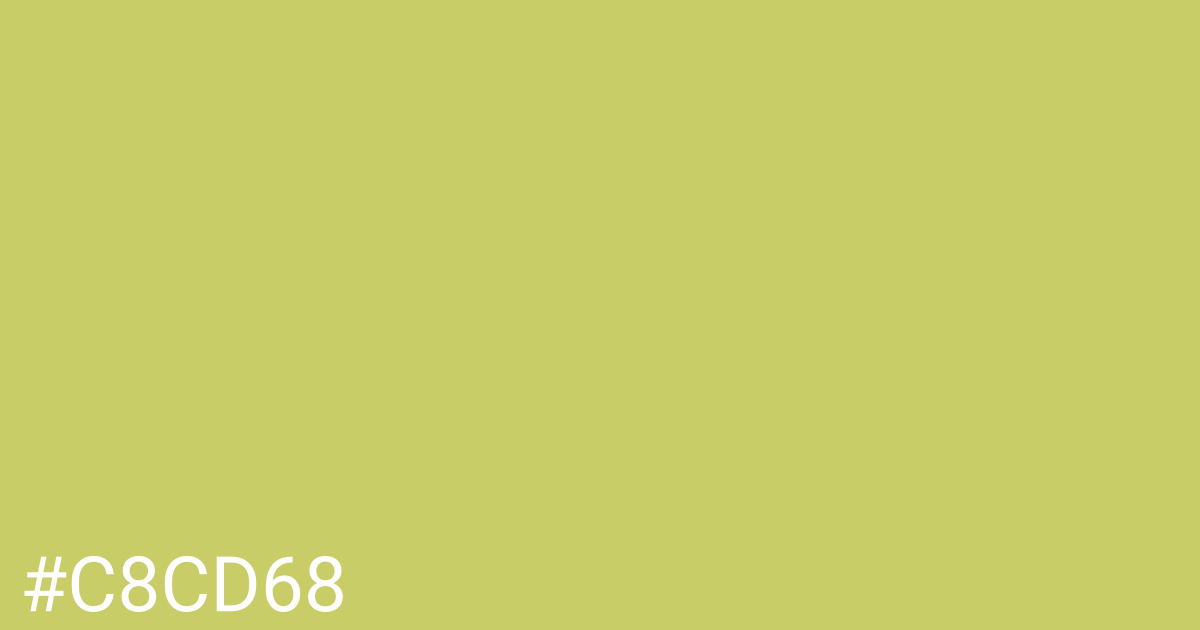 Hex color #c8cd68 graphic