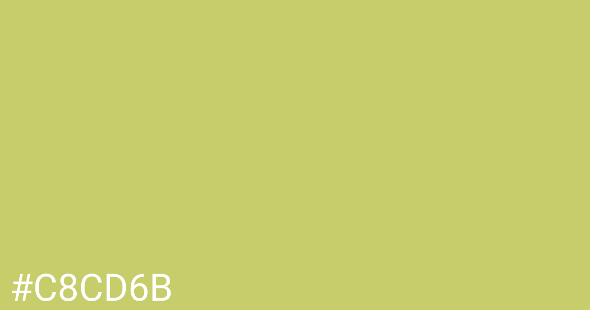 Hex color #c8cd6b graphic