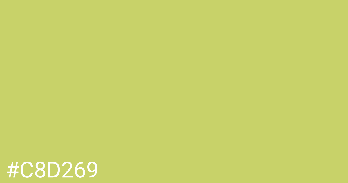 Hex color #c8d269 graphic