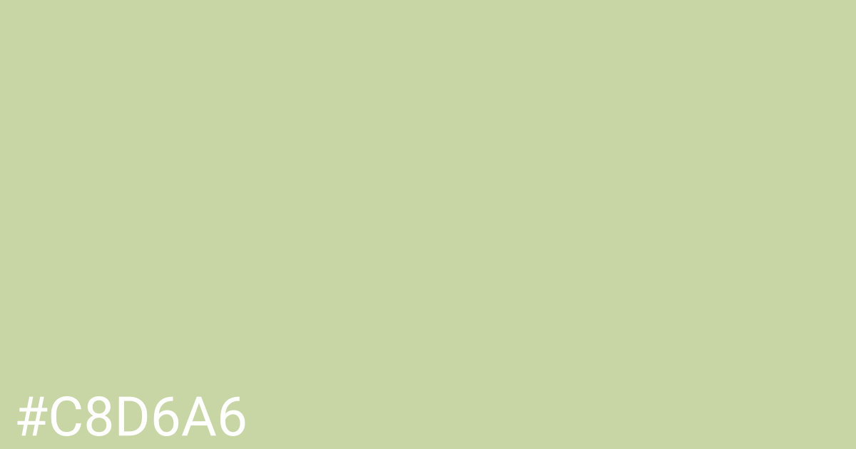 Hex color #c8d6a6 graphic