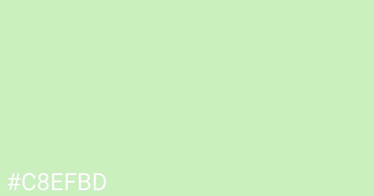 Hex color #c8efbd graphic