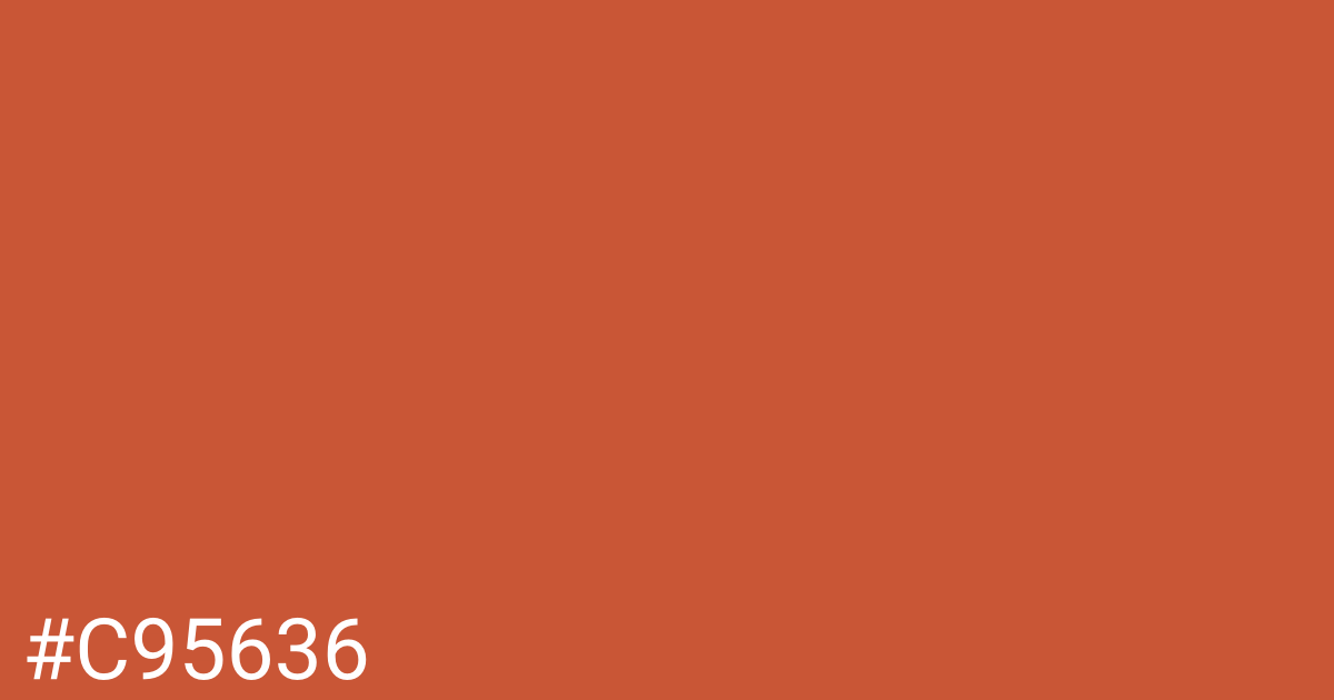 Hex color #c95636 graphic