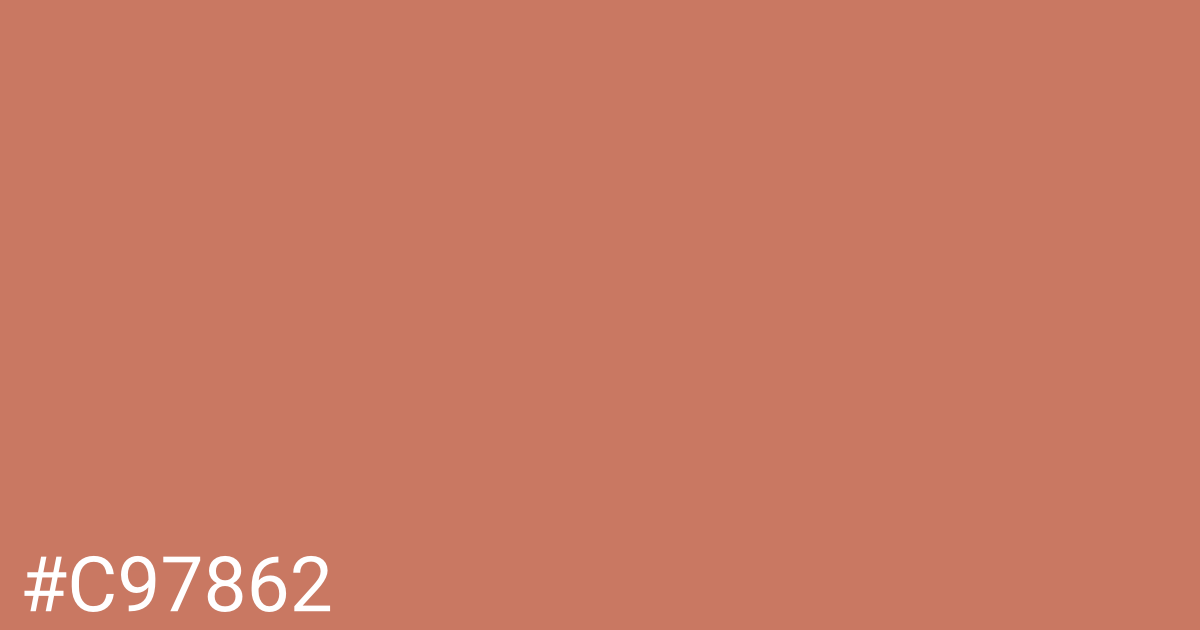 Hex color #c97862 graphic