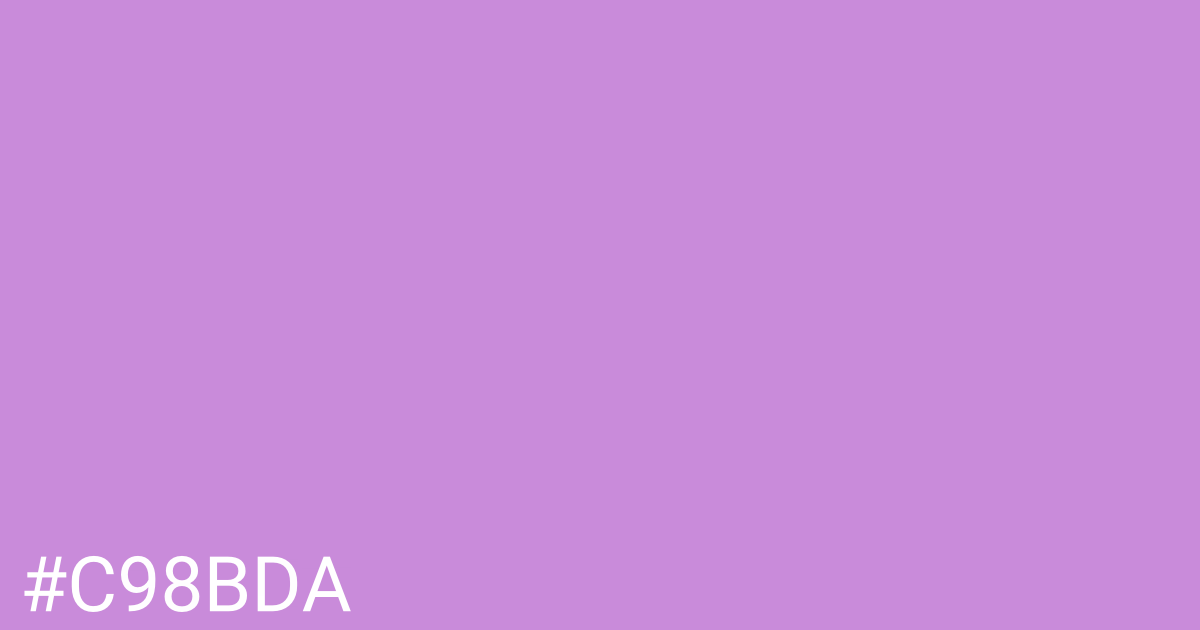 Hex color #c98bda graphic