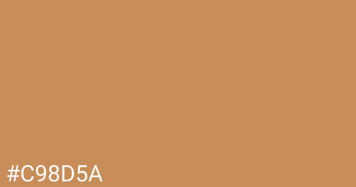 Hex color #c98d5a graphic