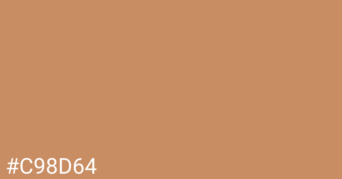 Hex color #c98d64 graphic