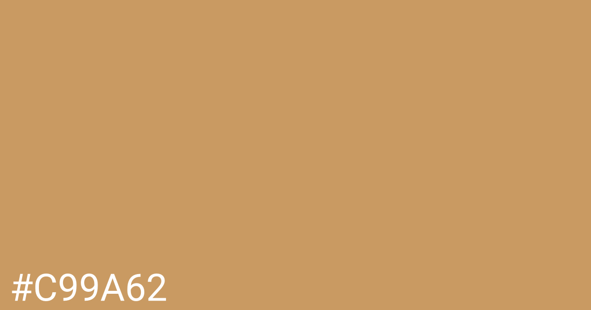 Hex color #c99a62 graphic