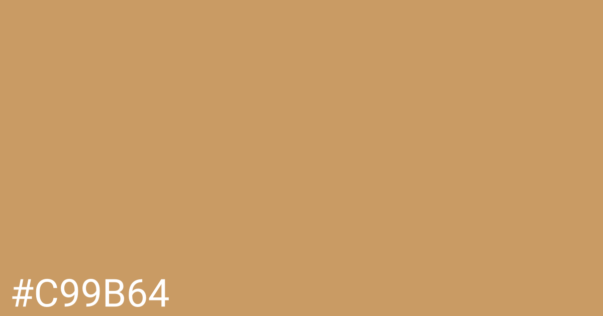 Hex color #c99b64 graphic