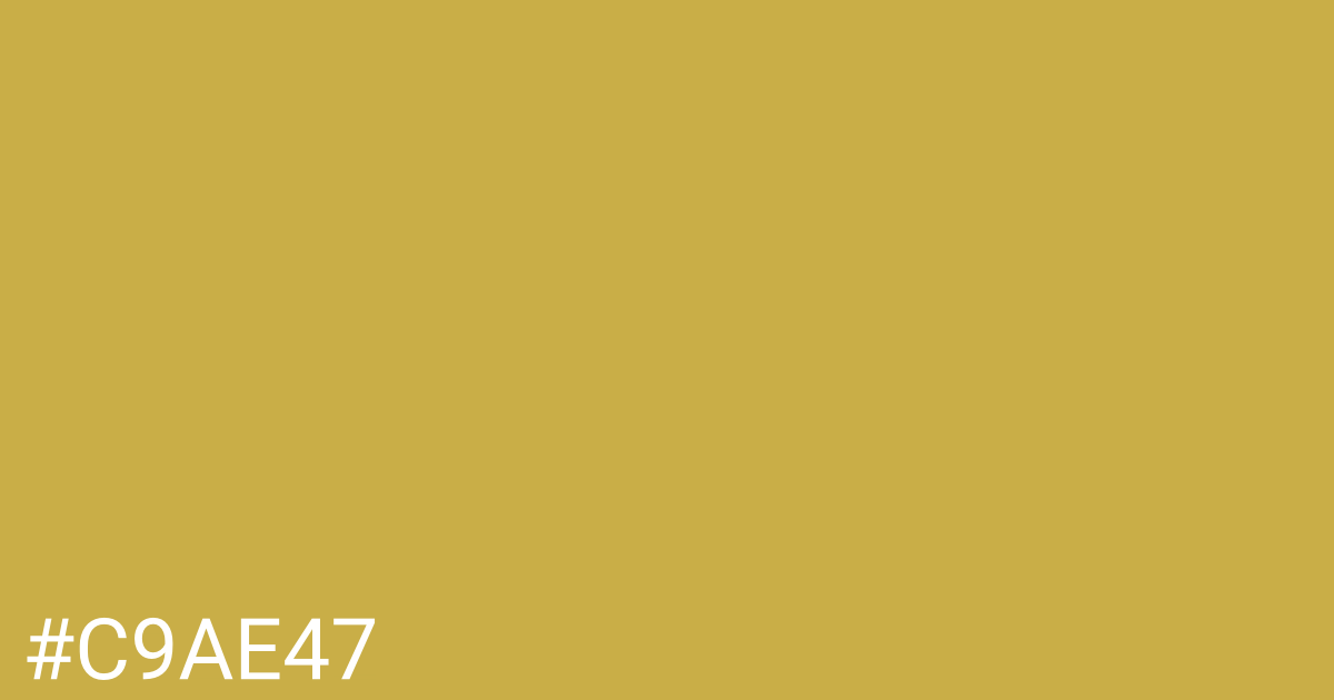 Hex color #c9ae47 graphic