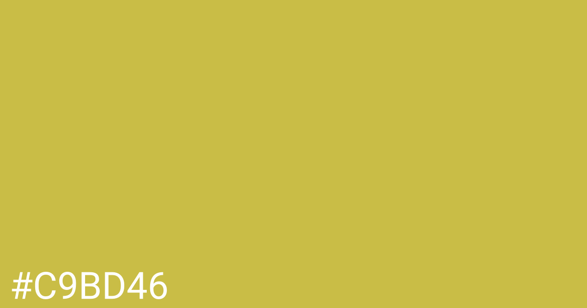 Hex color #c9bd46 graphic
