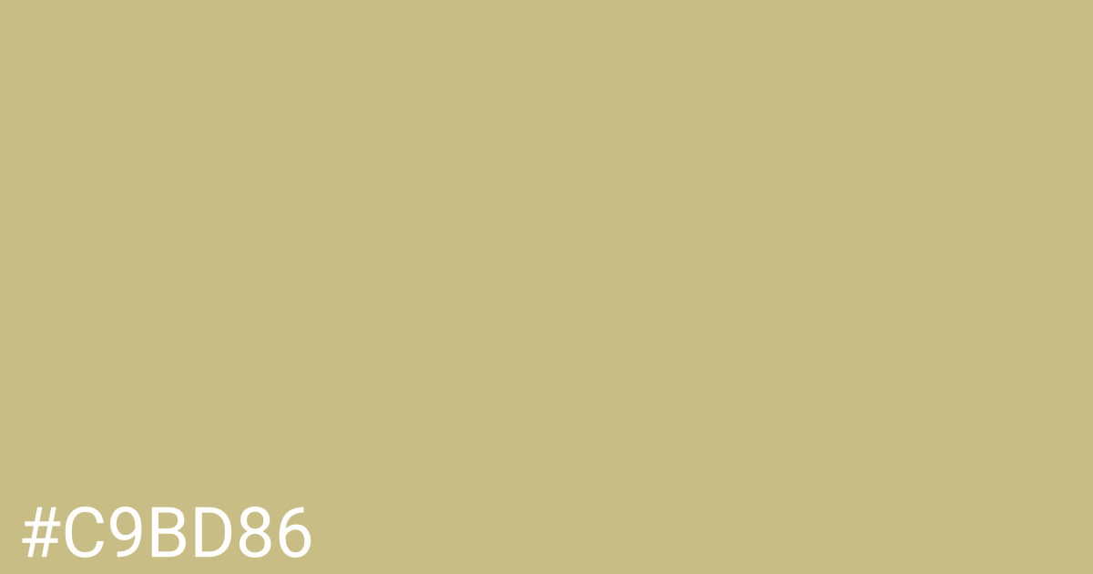 Hex color #c9bd86 graphic