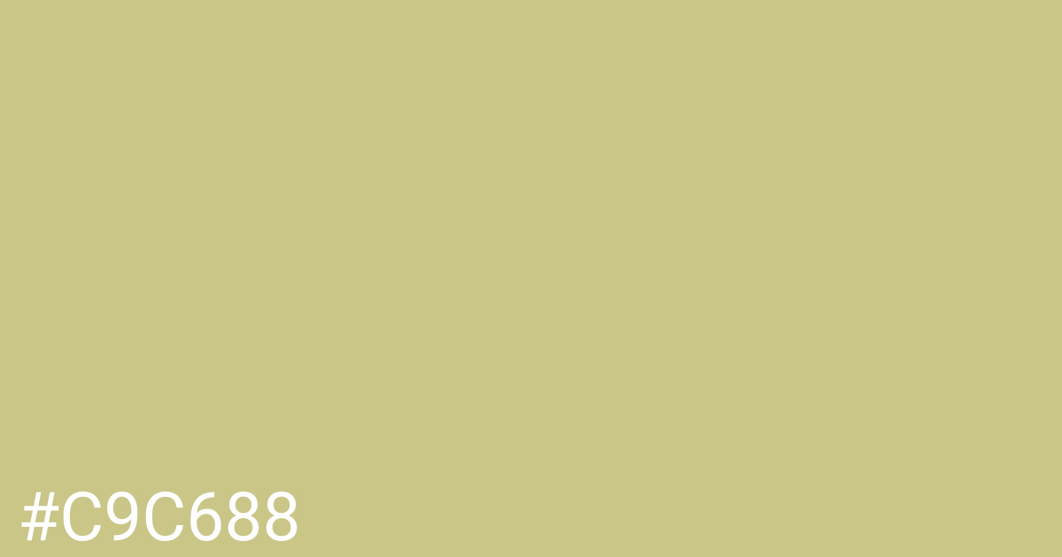 Hex color #c9c688 graphic