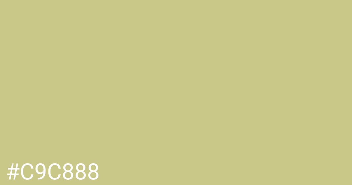 Hex color #c9c888 graphic