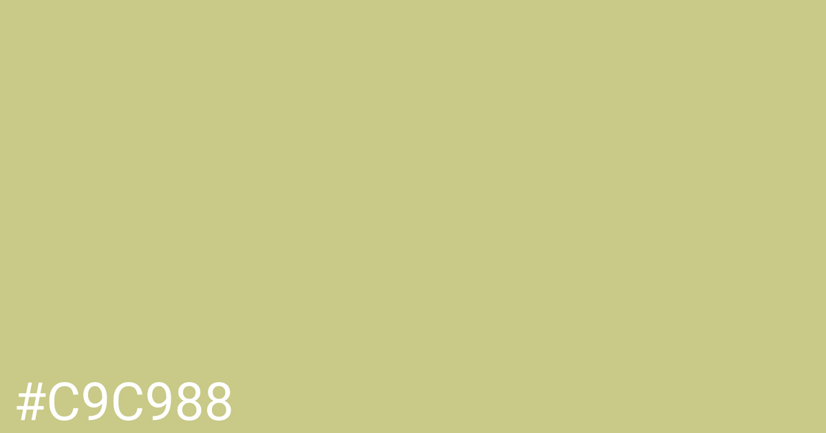 Hex color #c9c988 graphic