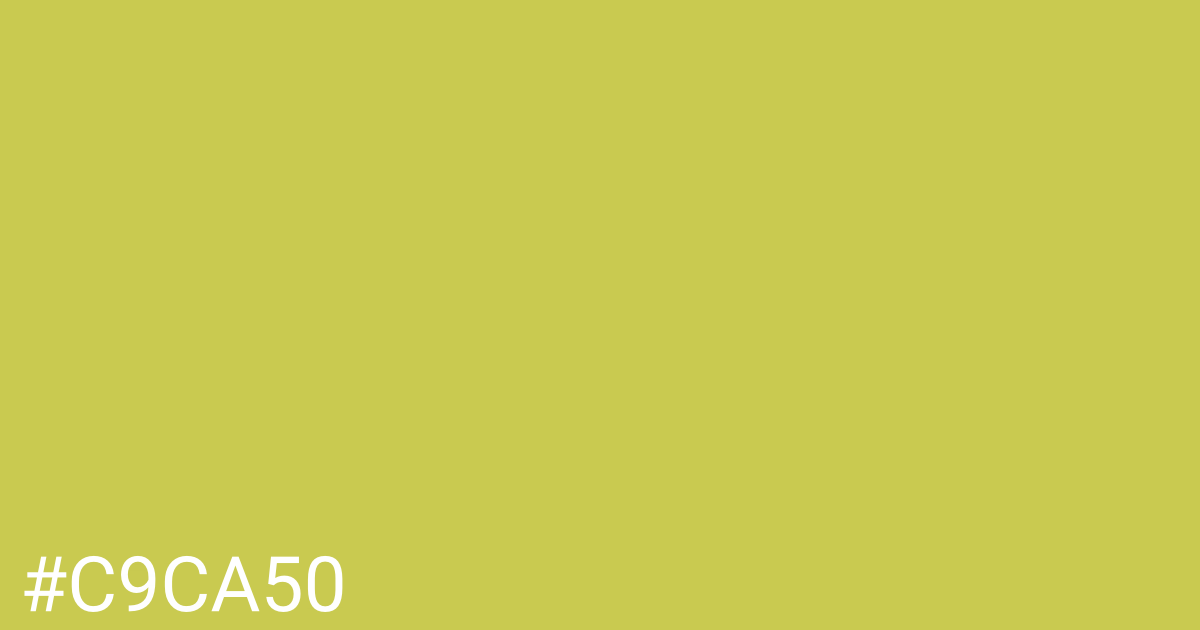 Hex color #c9ca50 graphic