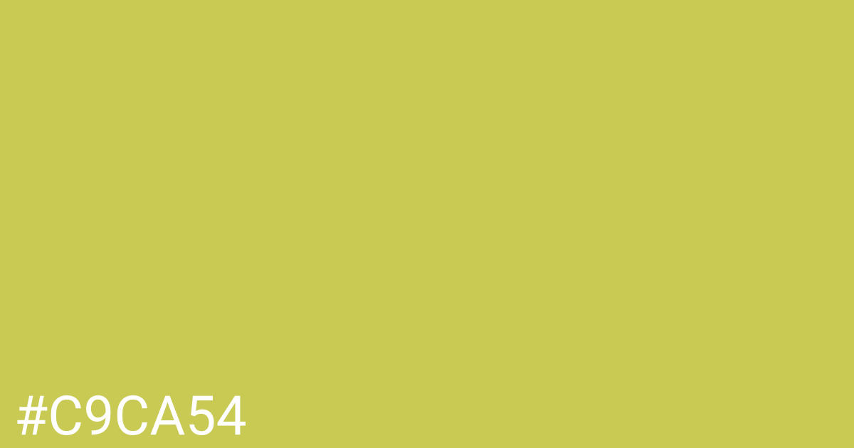 Hex color #c9ca54 graphic