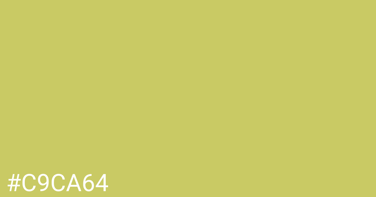 Hex color #c9ca64 graphic