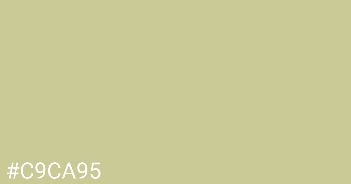 Hex color #c9ca95 graphic