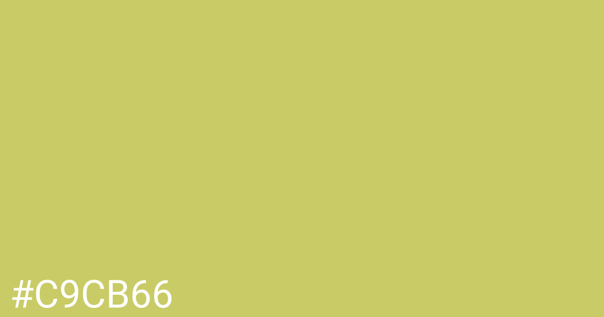 Hex color #c9cb66 graphic