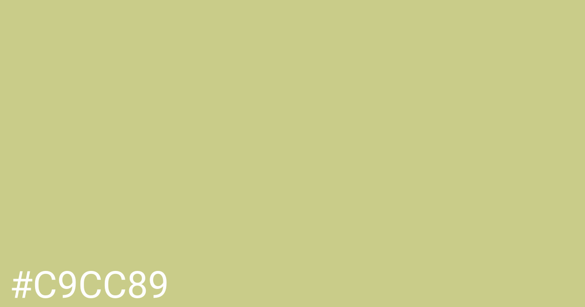 Hex color #c9cc89 graphic