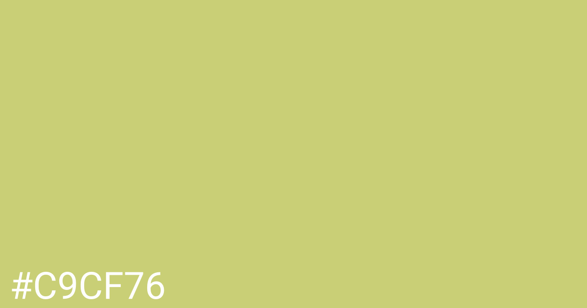 Hex color #c9cf76 graphic
