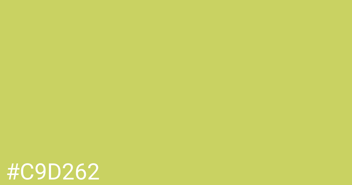 Hex color #c9d262 graphic