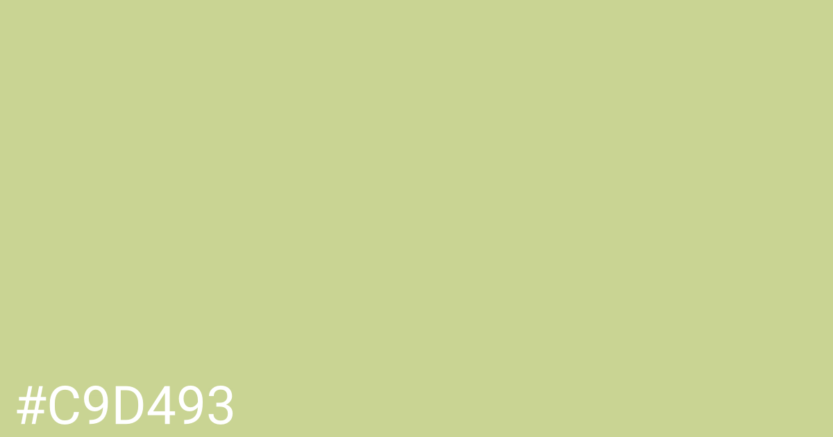 Hex color #c9d493 graphic