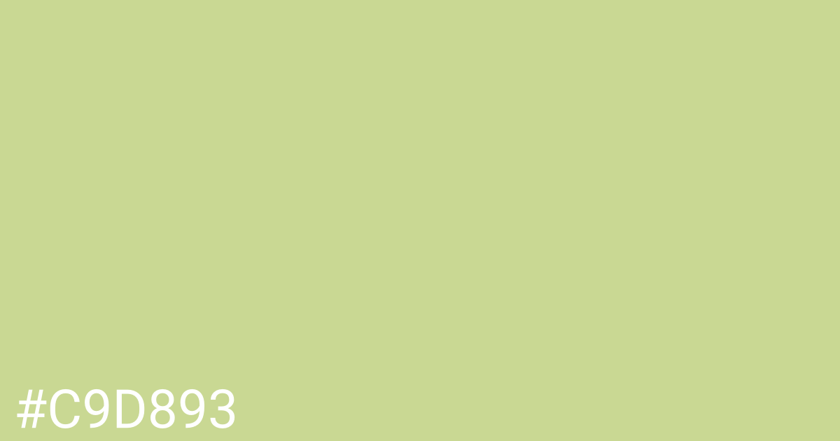 Hex color #c9d893 graphic