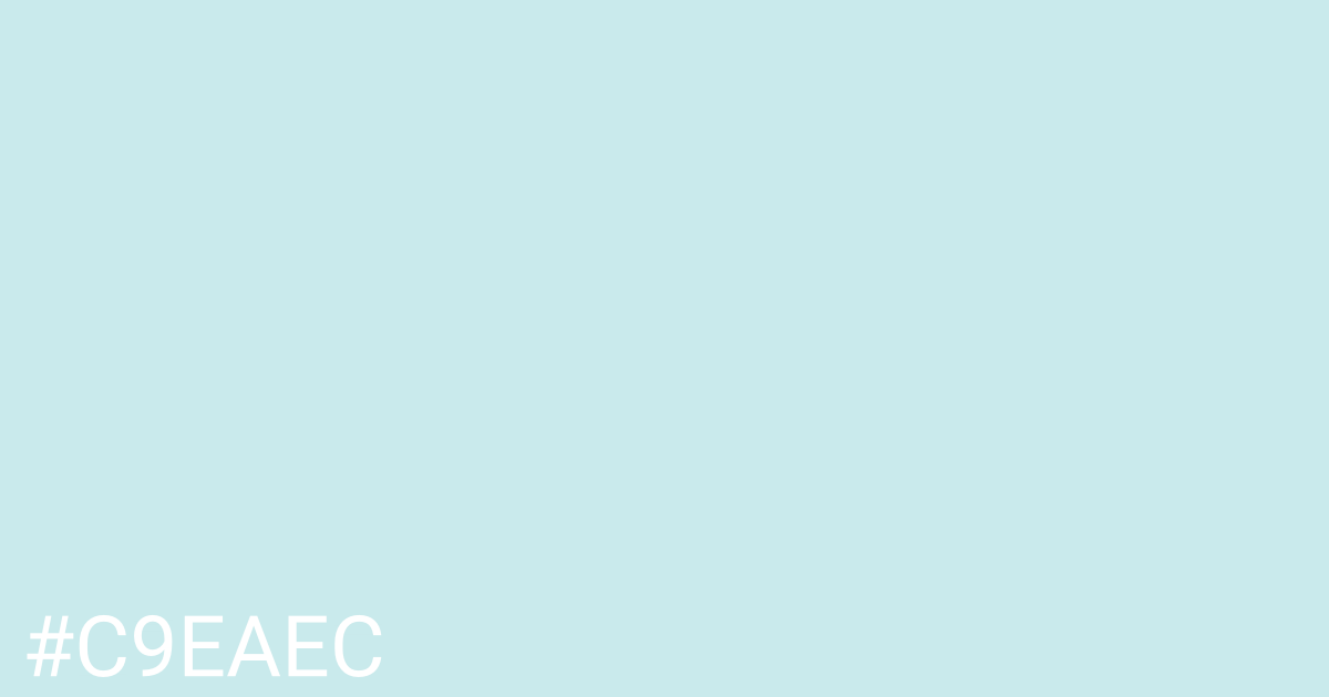 Hex color #c9eaec graphic