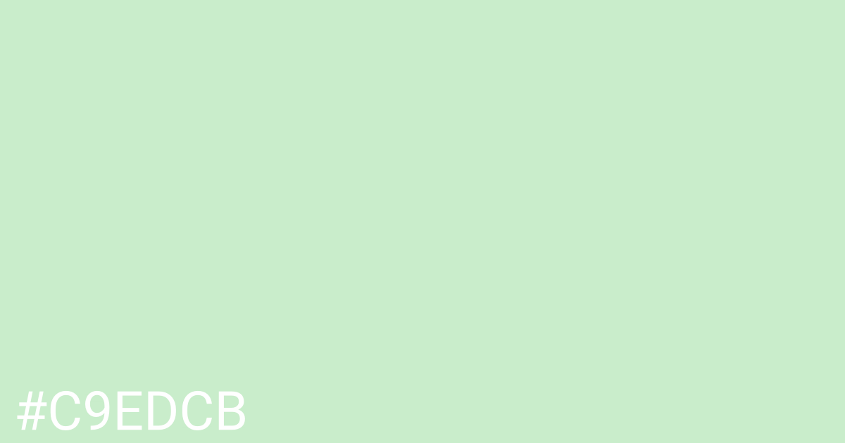 Hex color #c9edcb graphic