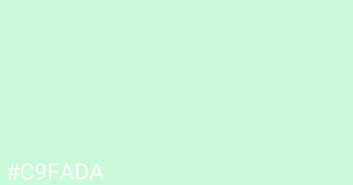 Hex color #c9fada graphic