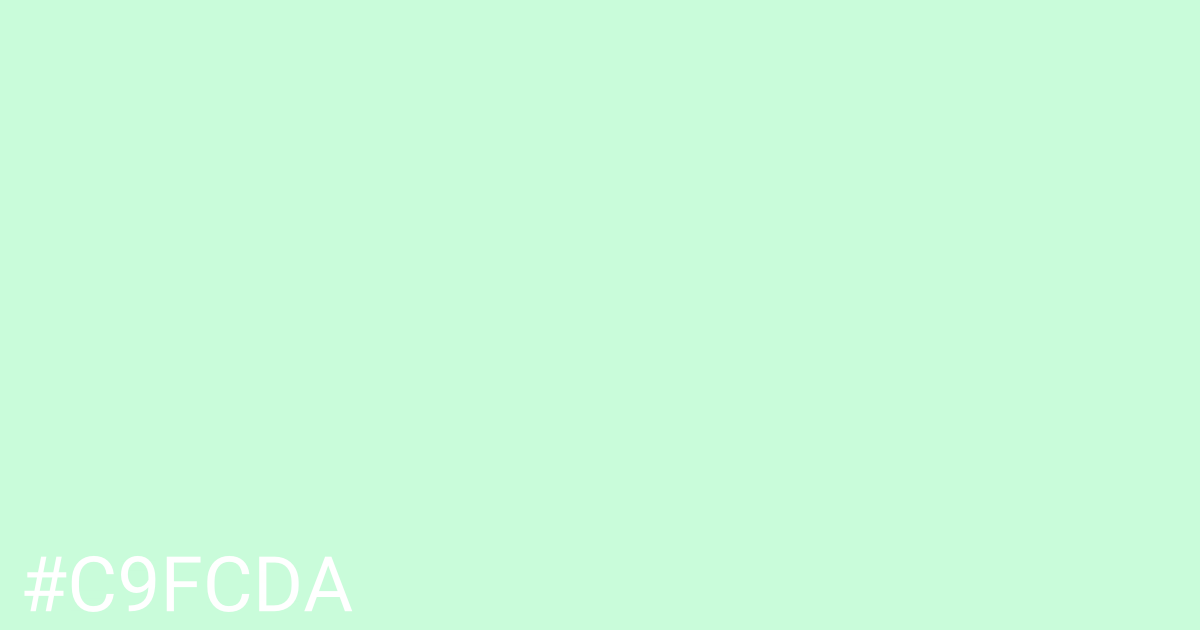Hex color #c9fcda graphic