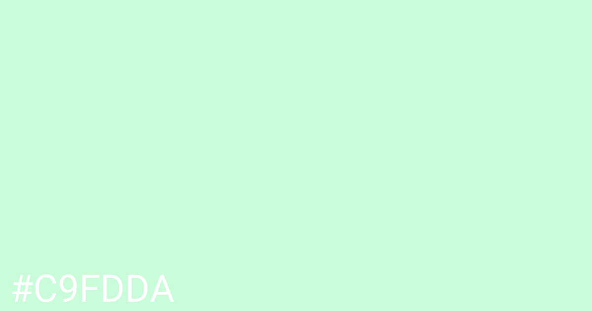 Hex color #c9fdda graphic