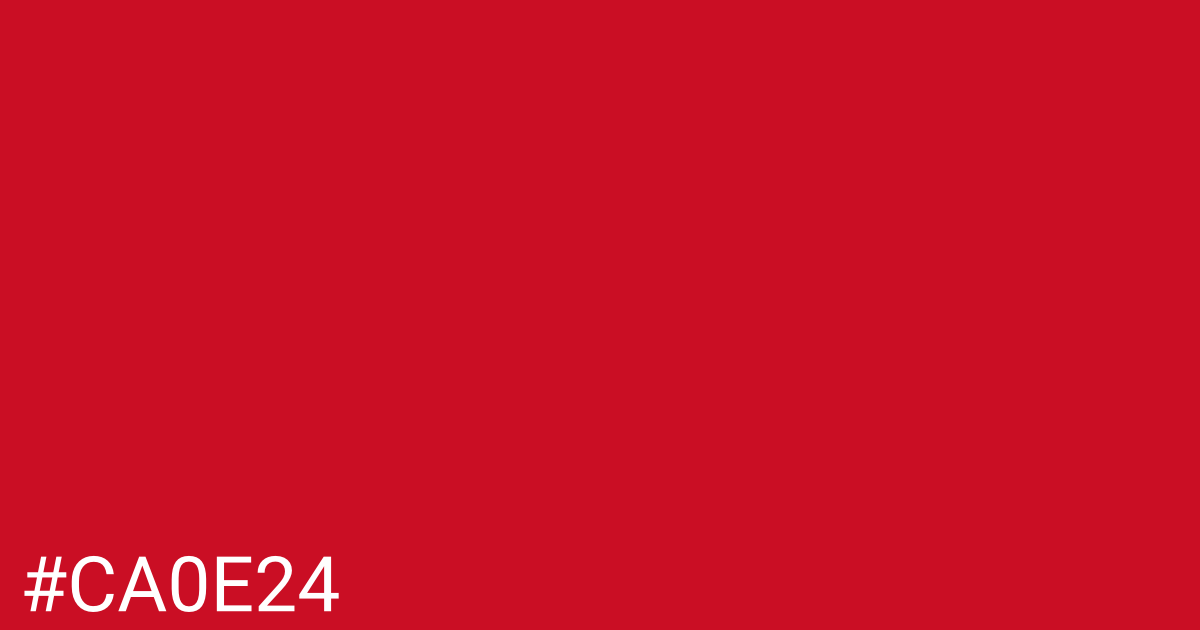 Hex color #ca0e24 graphic