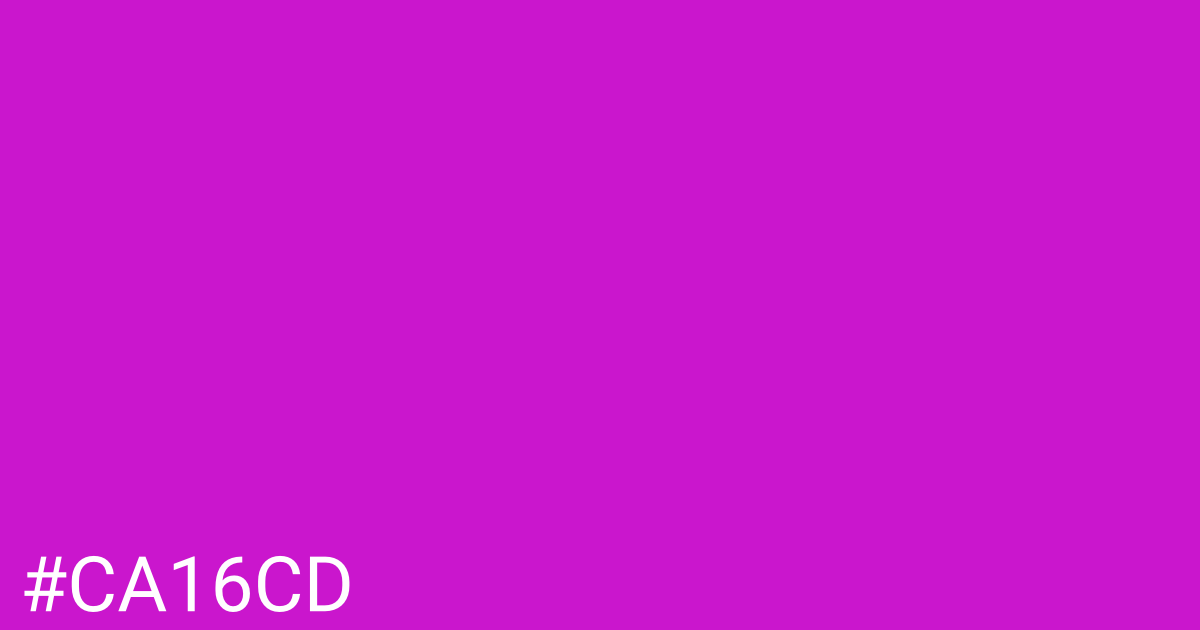 Hex color #ca16cd graphic