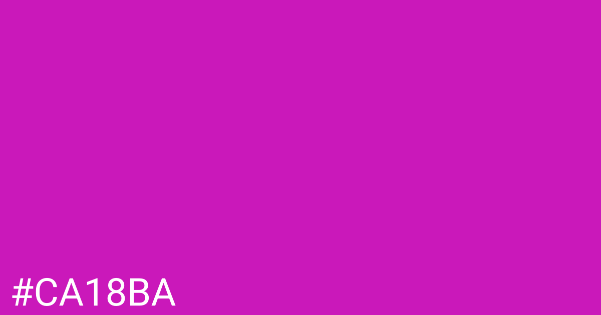Hex color #ca18ba graphic