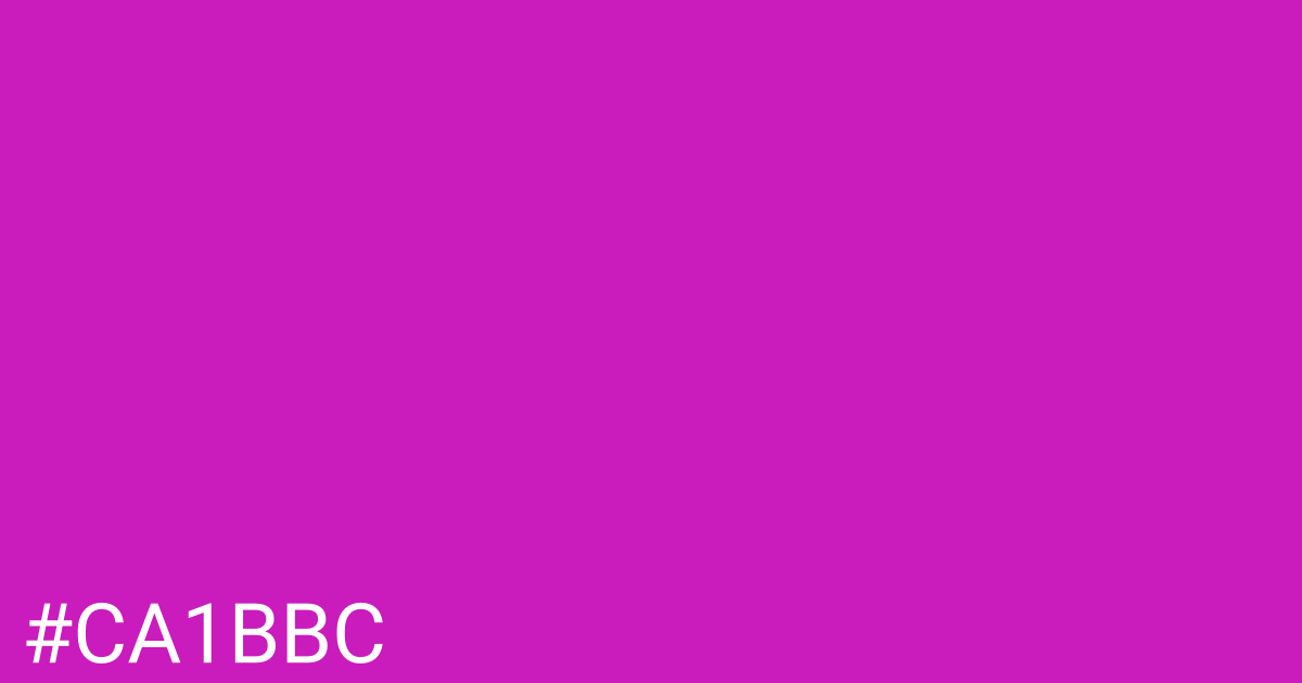 Hex color #ca1bbc graphic