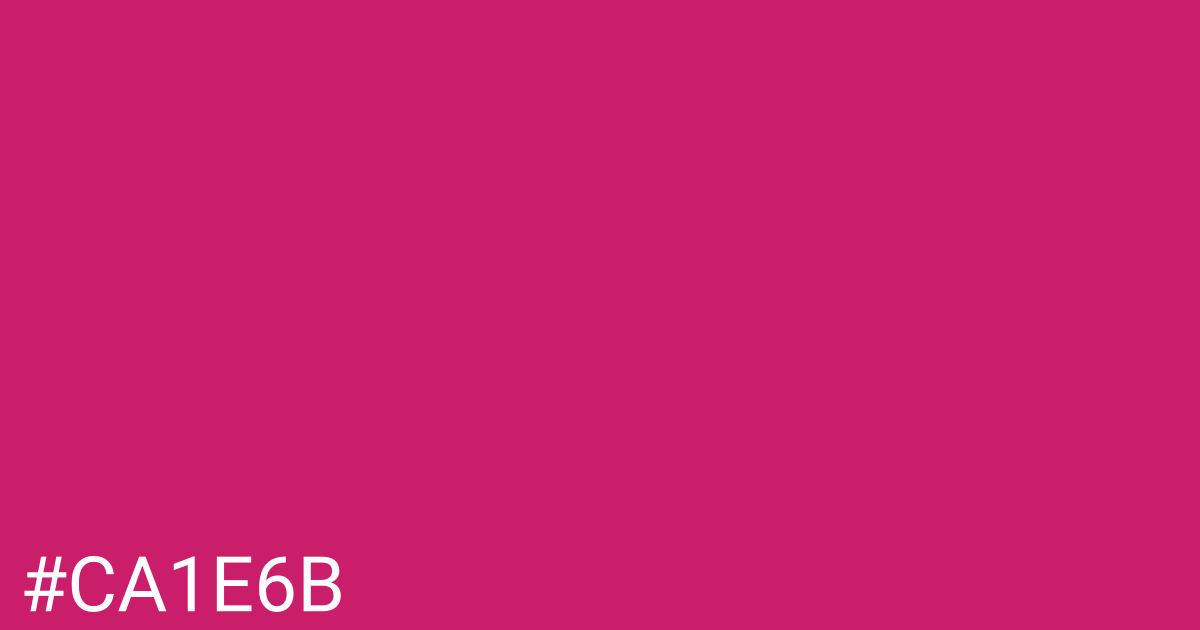 Hex color #ca1e6b graphic