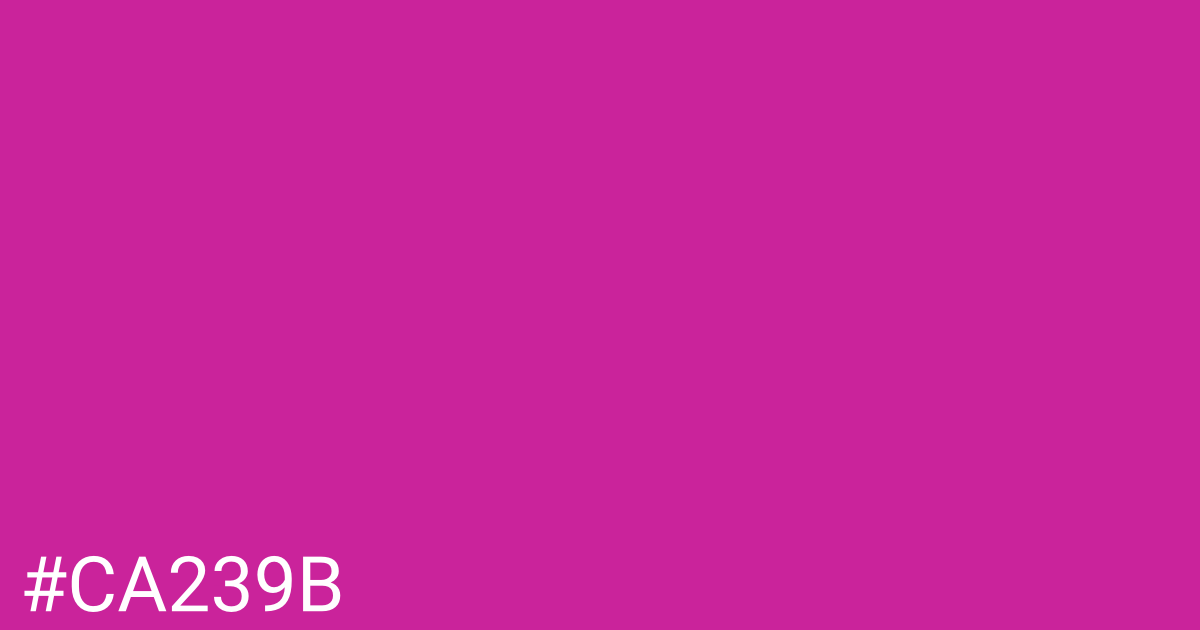Hex color #ca239b graphic