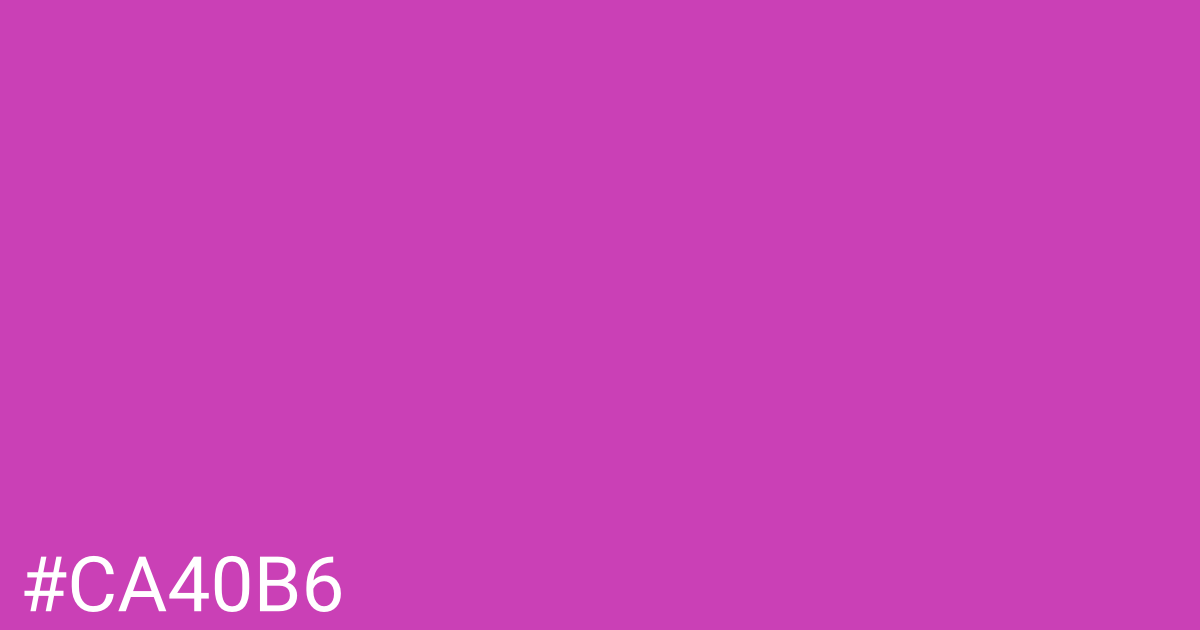 Hex color #ca40b6 graphic