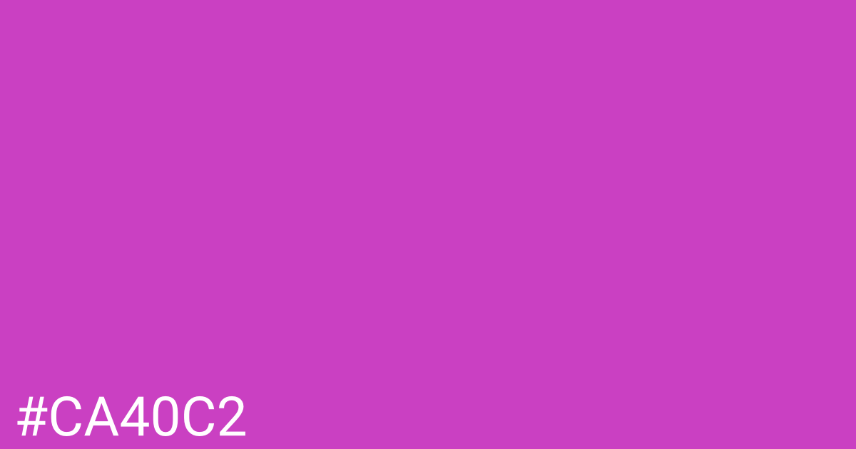 Hex color #ca40c2 graphic