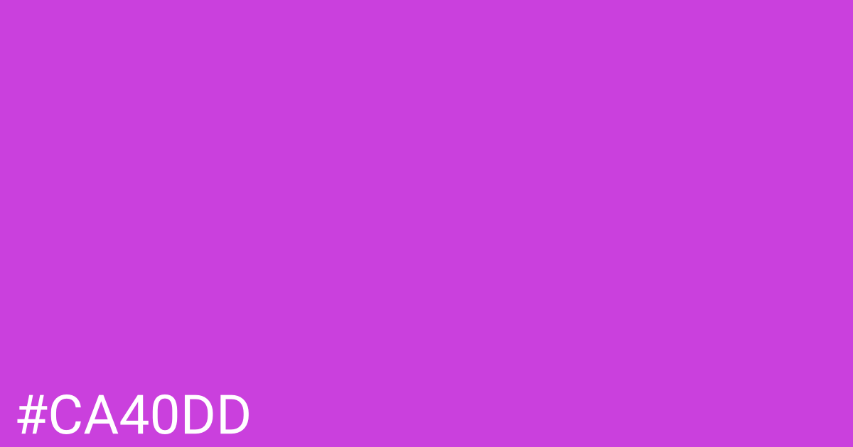 Hex color #ca40dd graphic